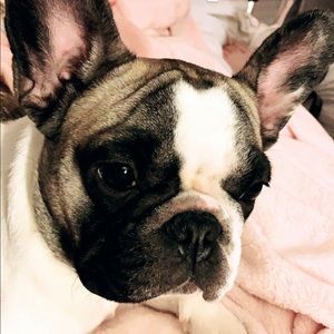 Meet your Posher, Sabrina